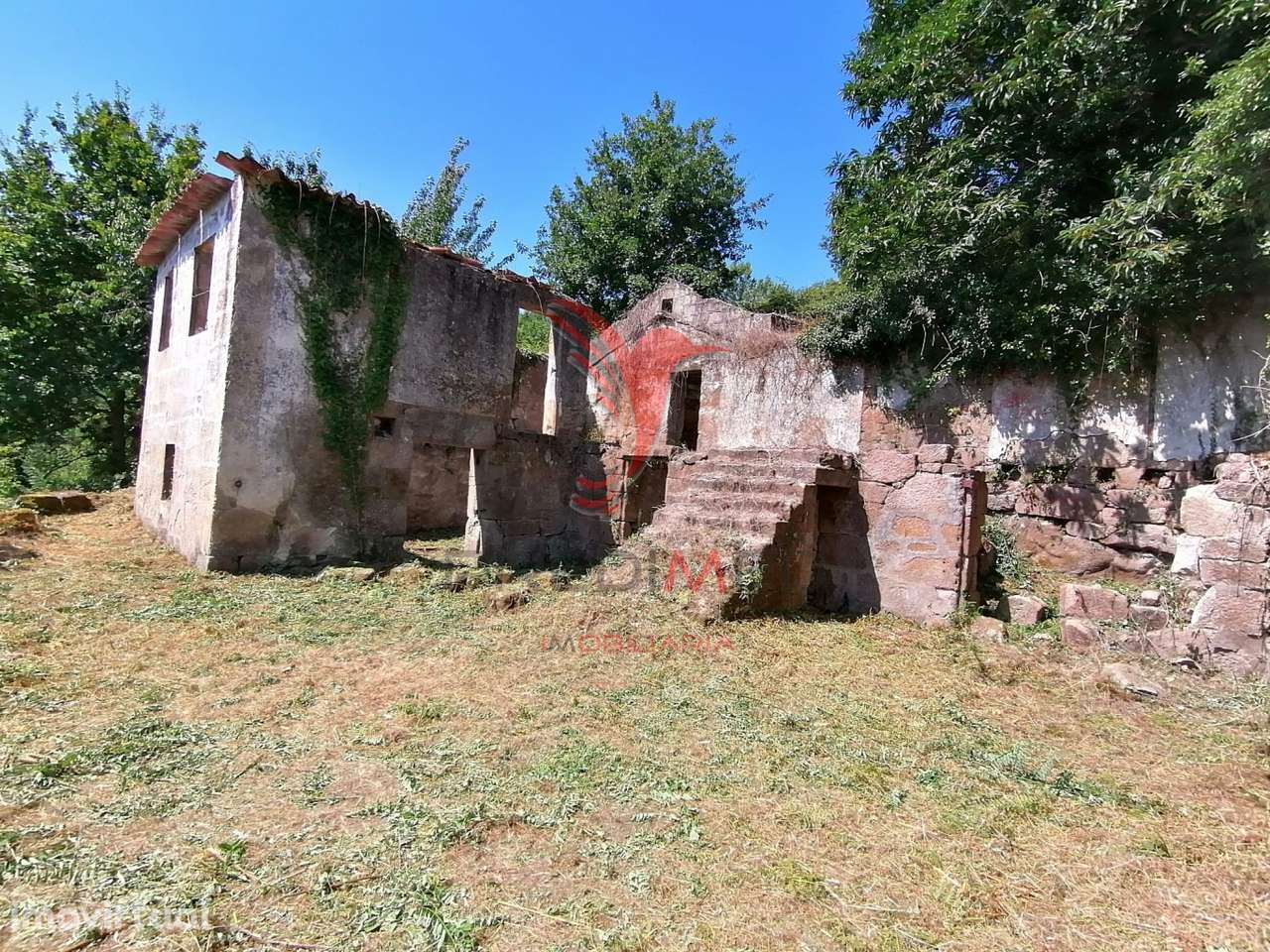 Quinta com duas casas para recuperar e vista fabulosa do Rio Douro - Grande imagem: 4/35