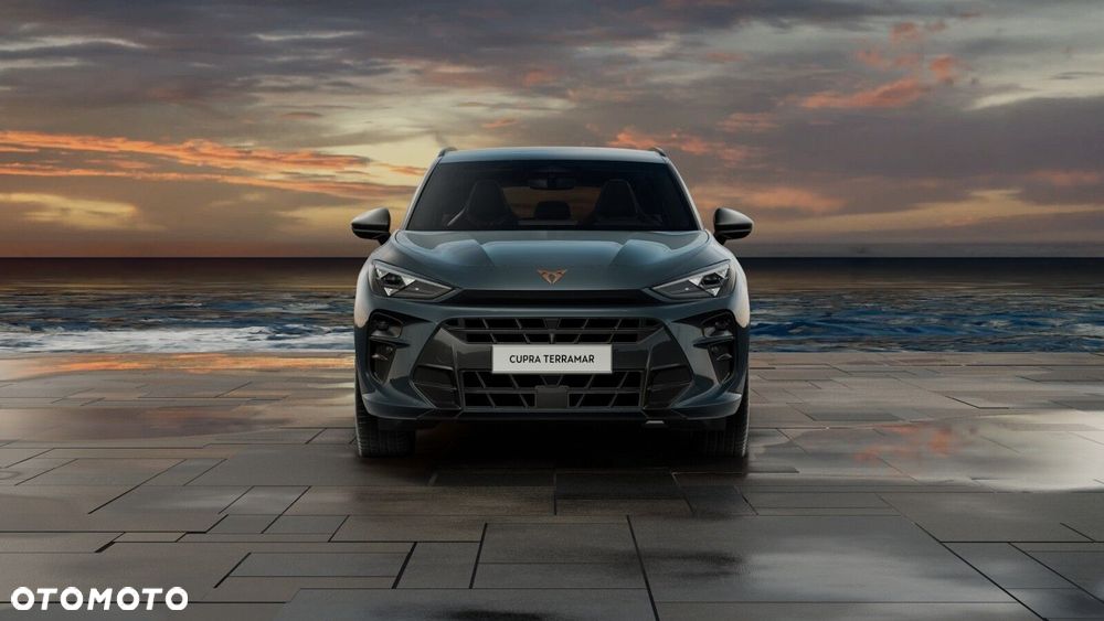 Cupra Terramar - 7
