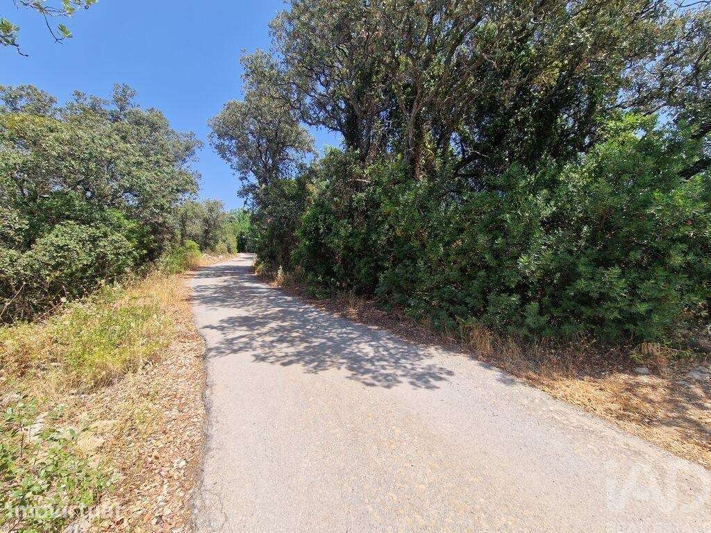 Terreno Agrícola em Santa Bárbara de Nexe - Grande imagem: 2/23