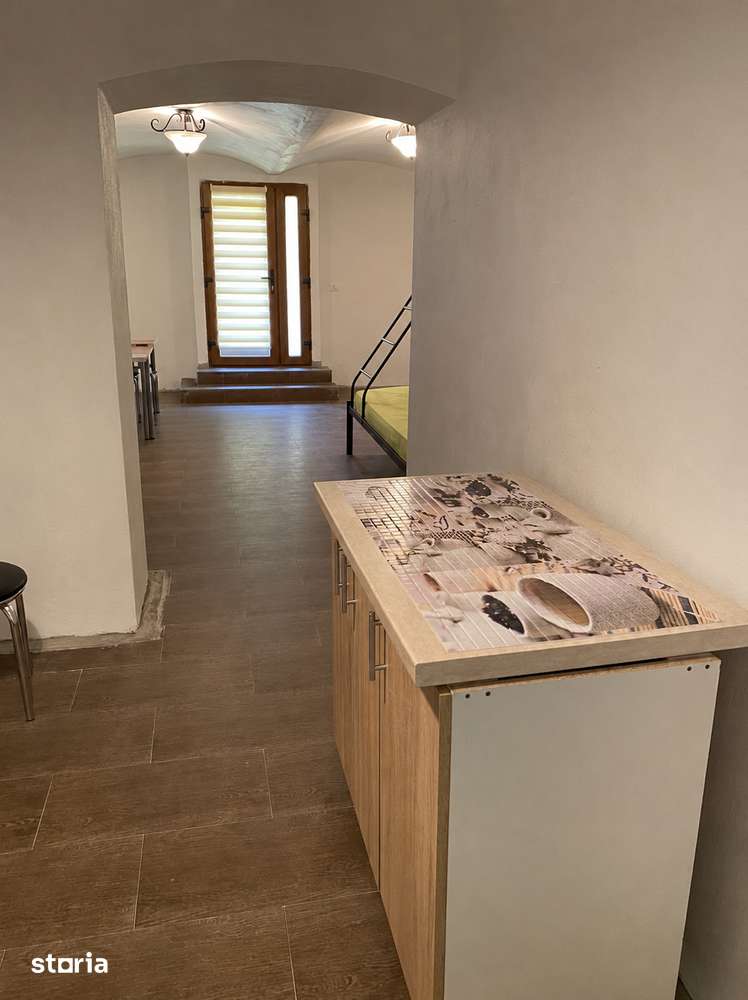 Apartament cu o camera, 35 mp utili, demisol, zona Piata Maria — fotografia 1
