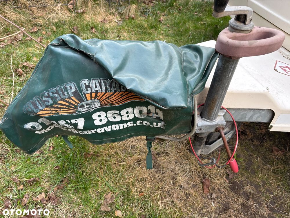 Bailey Pageant Majestic - 20