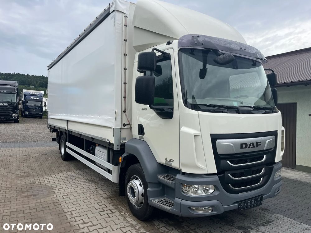 DAF LF 16-260 Burto-Firanka Winda Ładowność 9440 kg - 2