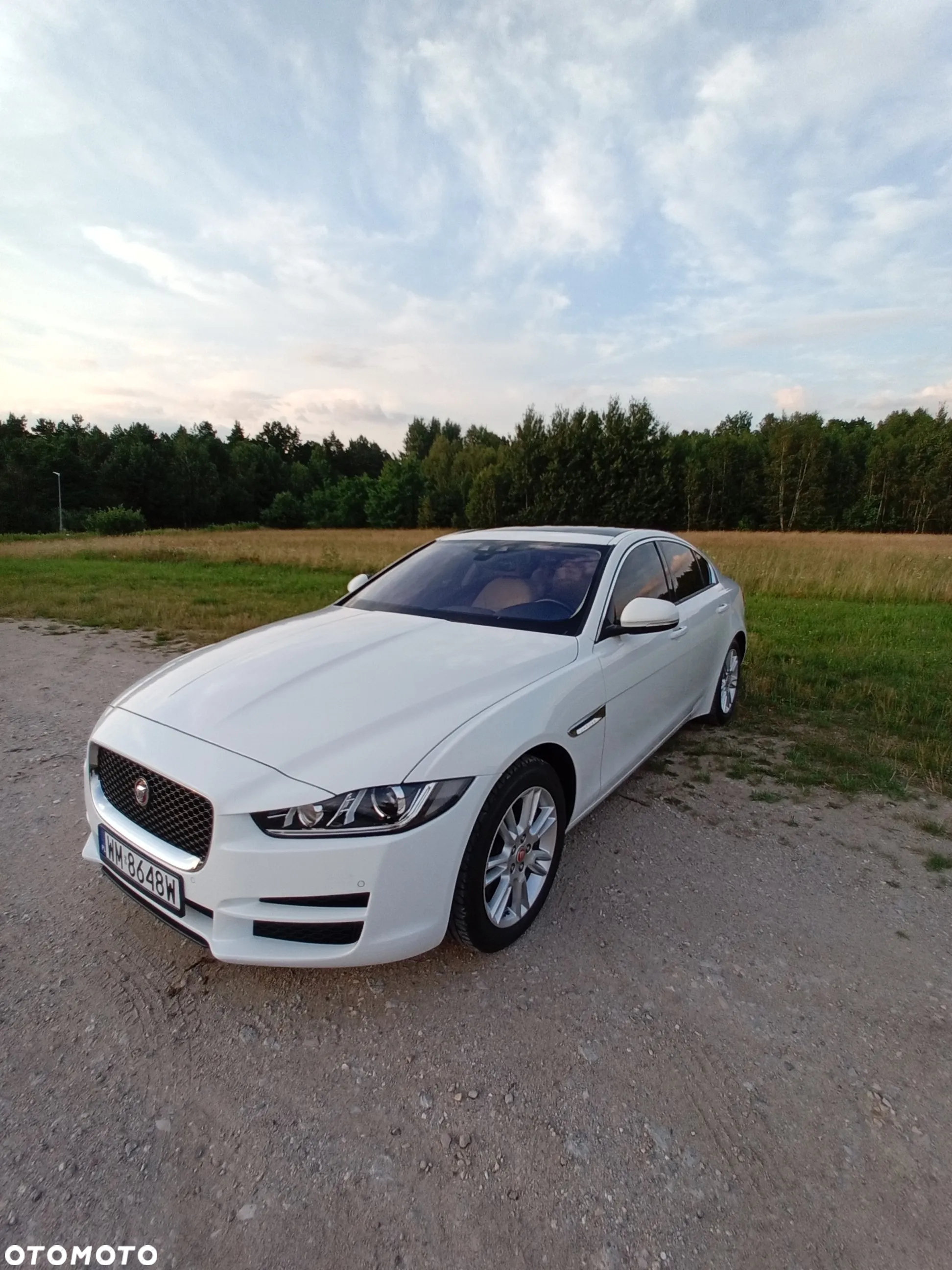 Jaguar XE 25t AWD Prestige - 6