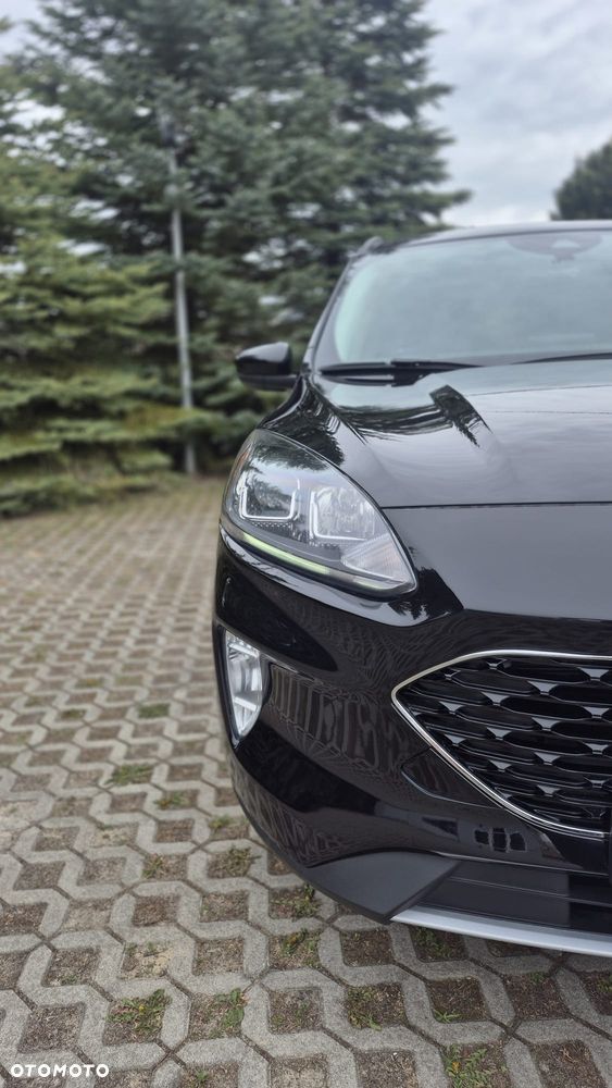 Ford Escape 2.5 FWD S - 7