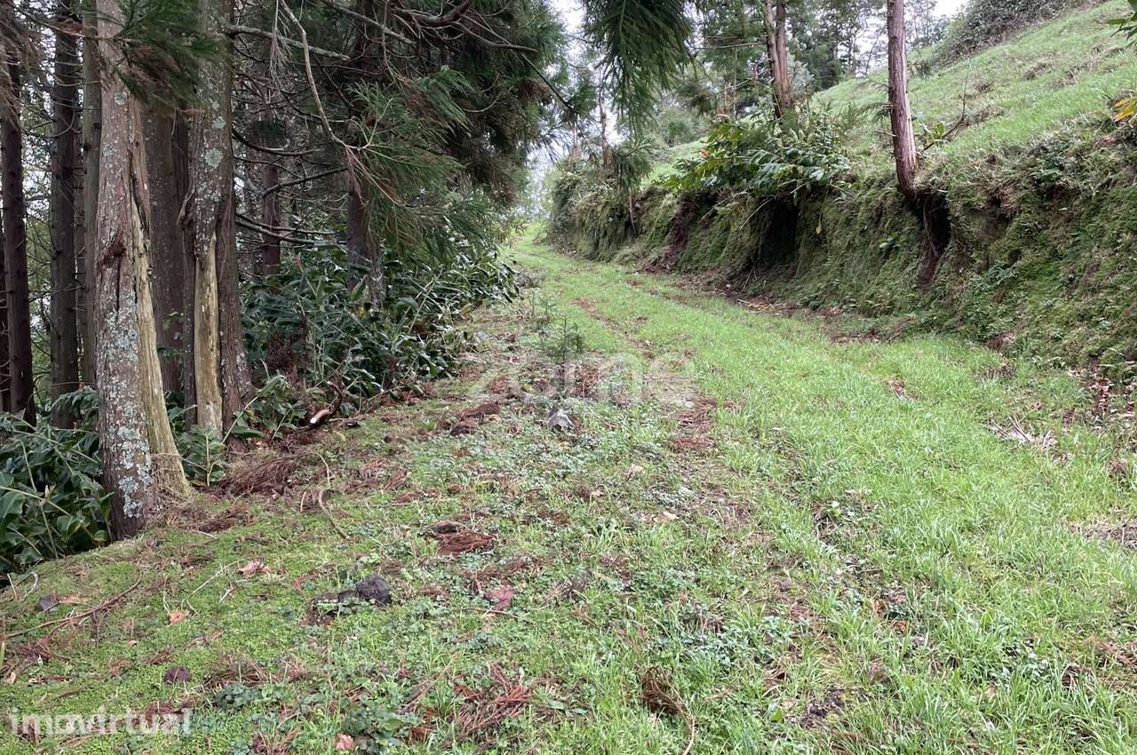 Terreno misto com área total de 712.500m2, na Ribeira Grande - Grande imagem: 5/23