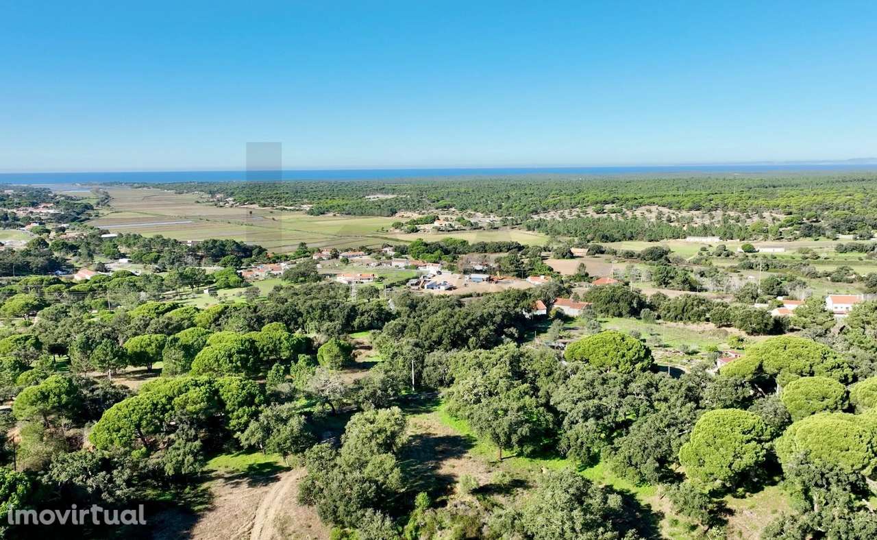 Monte Alto do Zambujal — Exclusividade e potencial junto a Melides - Grande imagem: 3/21