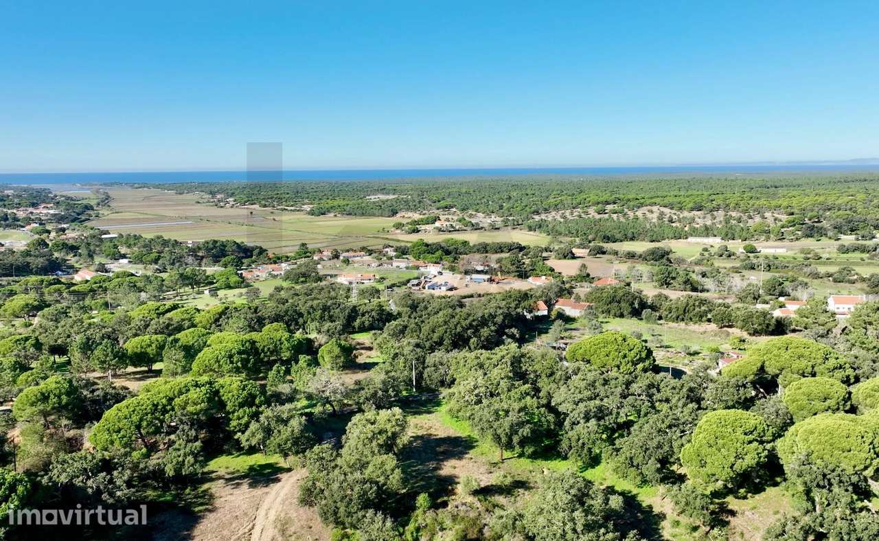 Monte Alto do Zambujal — Melides 2,675 hectares com direito de constru - Grande imagem: 3/21