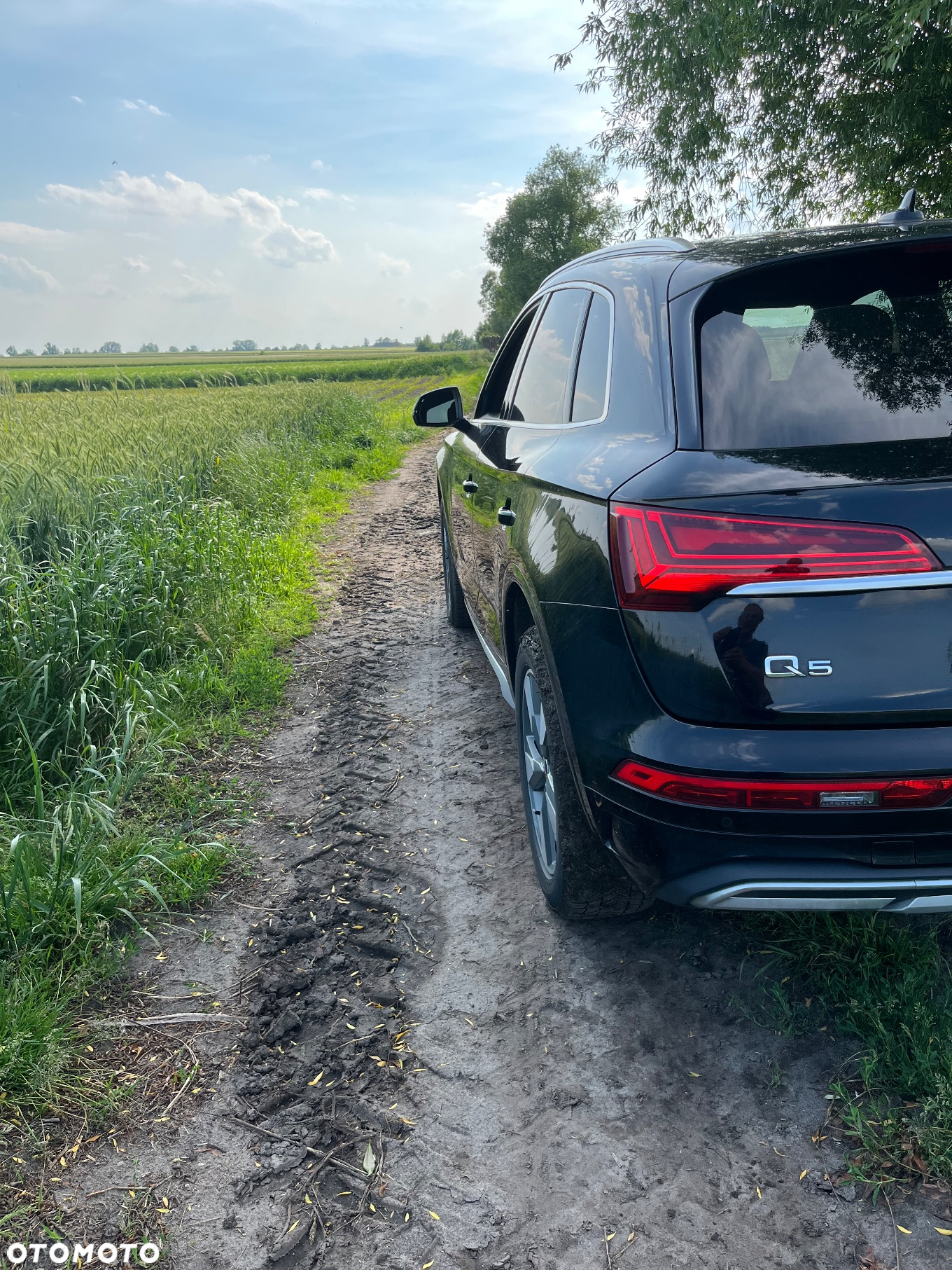 Audi Q5 45 TFSI quattro S tronic - 6