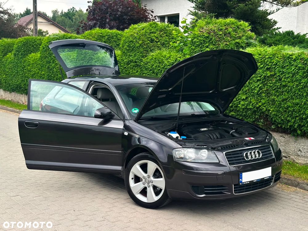 Audi A3 3-drzwiowe 1.6 Attraction - 12