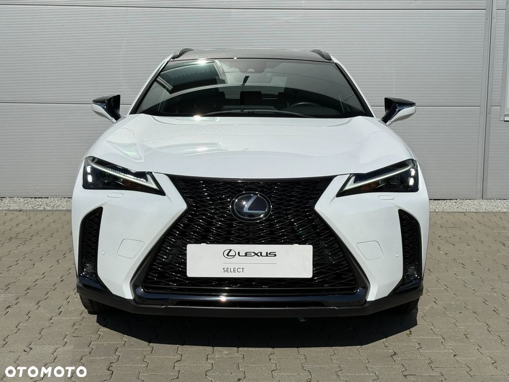Lexus UX 250h GPF F Sport Design+ 2WD - 13
