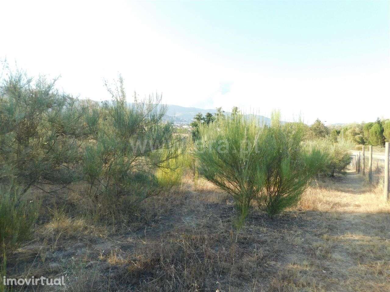 Terreno / Covilhã, Tortosendo - Grande imagem: 5/17