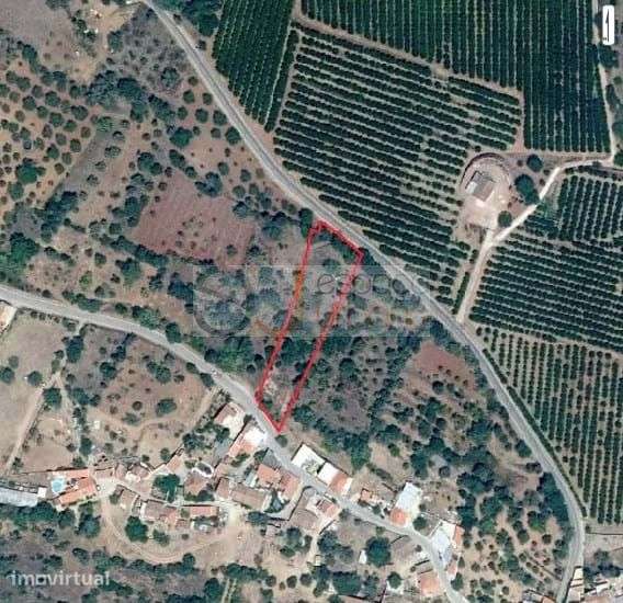 Oportunidade no Algarve Interior–Terreno Rústico-Alte - Grande imagem: 2/4