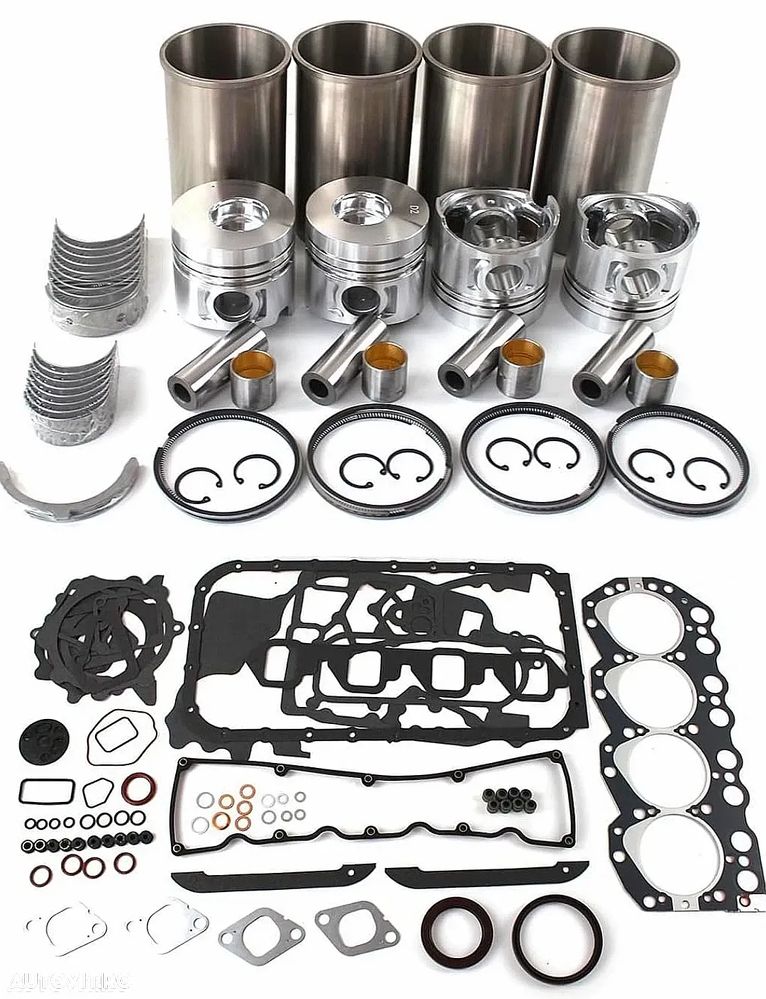 Cuzineți NE Nissan Atleon Cabstar L35 Eco-T Trade lagăr arbore cotit VIBROCHEN - 23