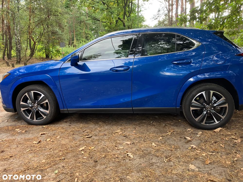 Lexus UX 300h - 4