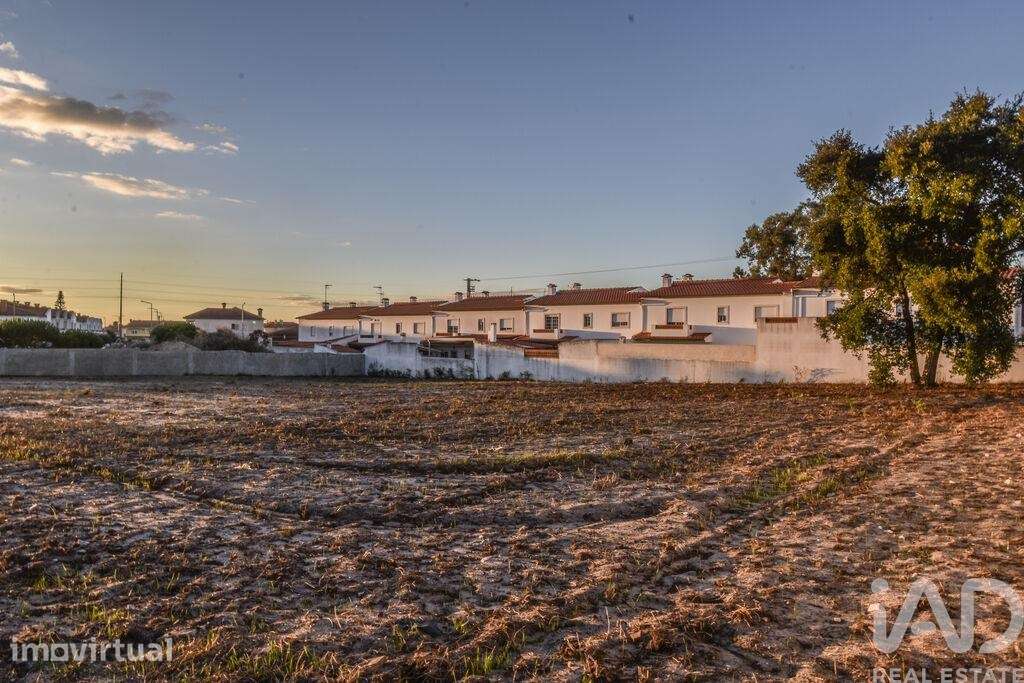 Terreno Agrícola em Marinha Grande - Grande imagem: 2/6