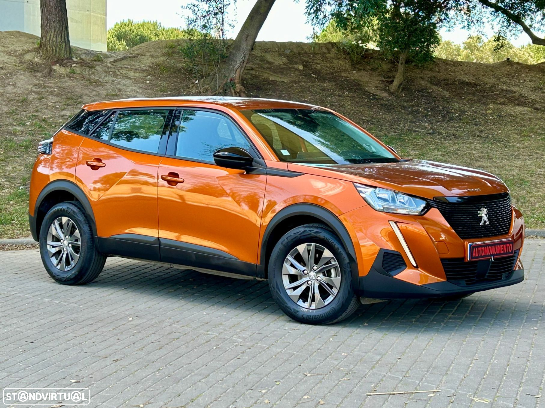 Peugeot 2008 - 14