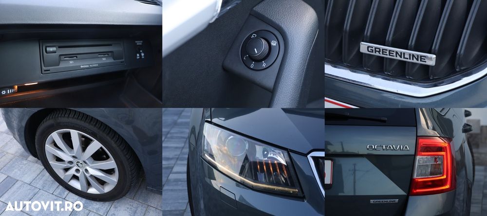 Skoda Octavia 1.6 TDI GREENLINE - 12
