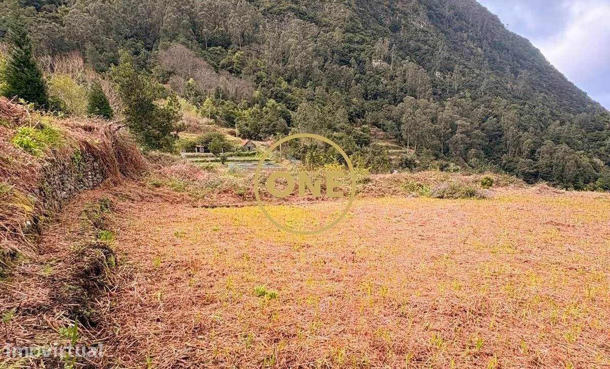 Terreno 1289m² - Grande imagem: 4/37