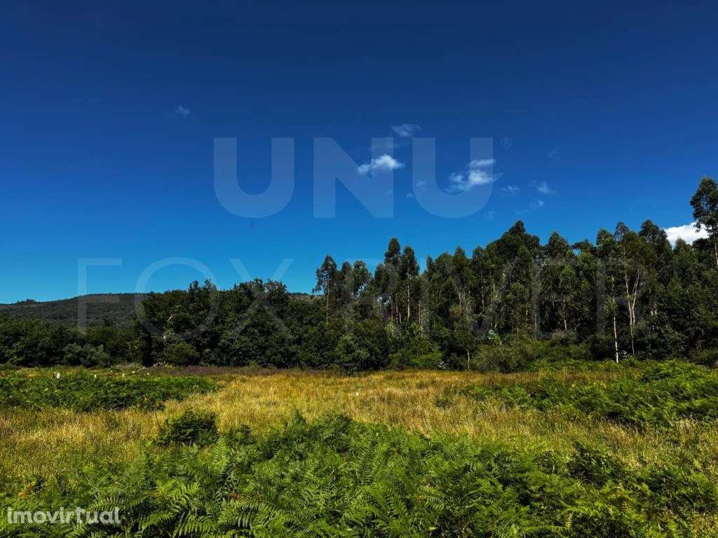 Terreno para construção em Gandra, Valença - Grande imagem: 2/4