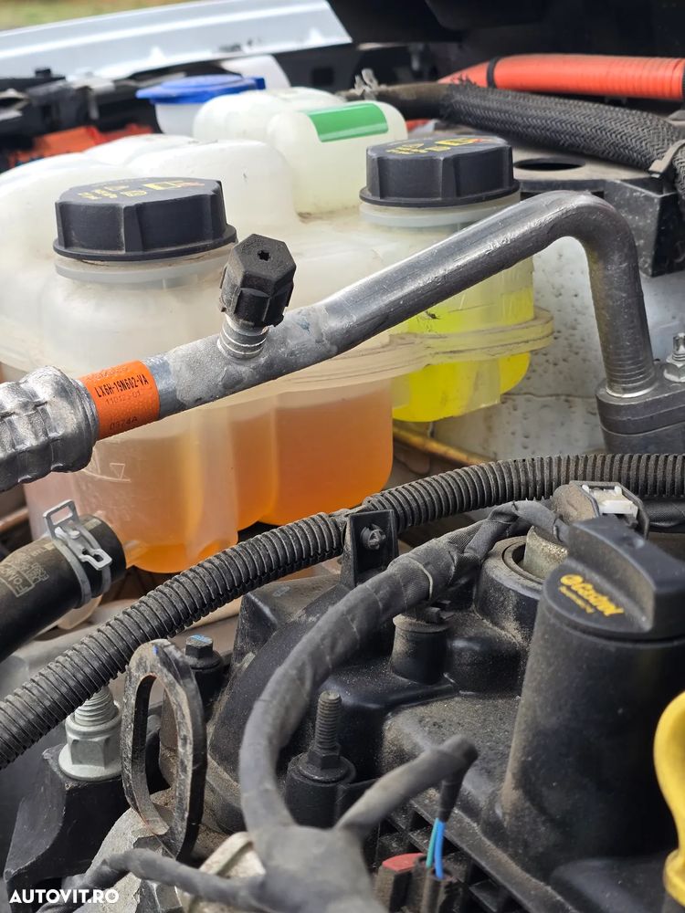 Ford Kuga 2.5 Duratec FHEV AWD Titanium X - 31