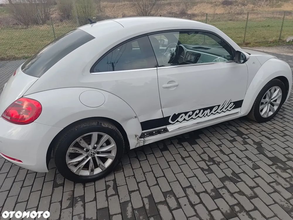 Volkswagen Beetle - 17