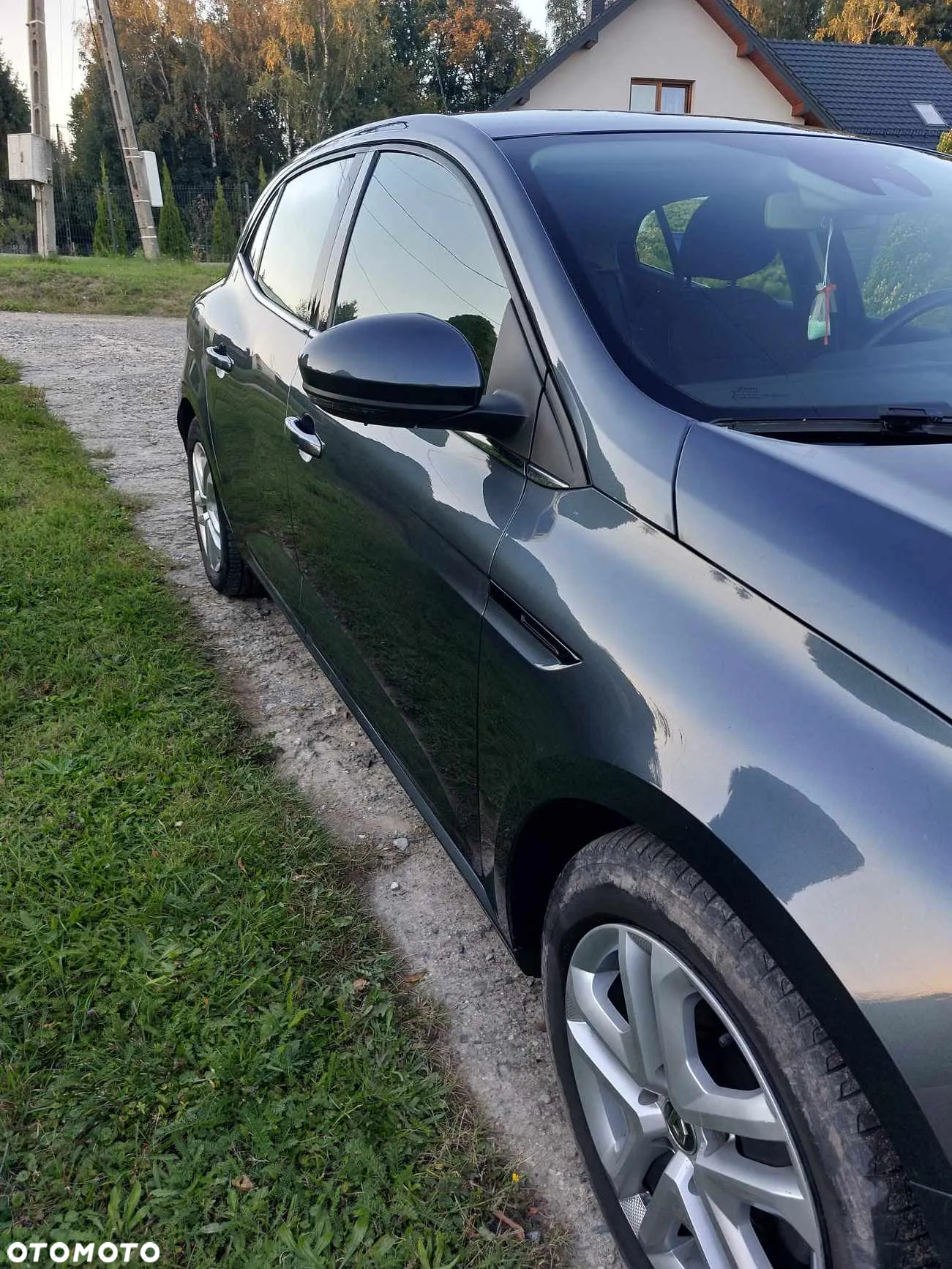 Renault Megane - 10