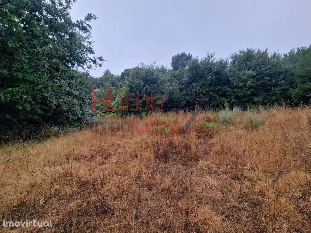 Terreno em Vila Cova à Coelheira com viabilidade de construção - Grande imagem: 4/25