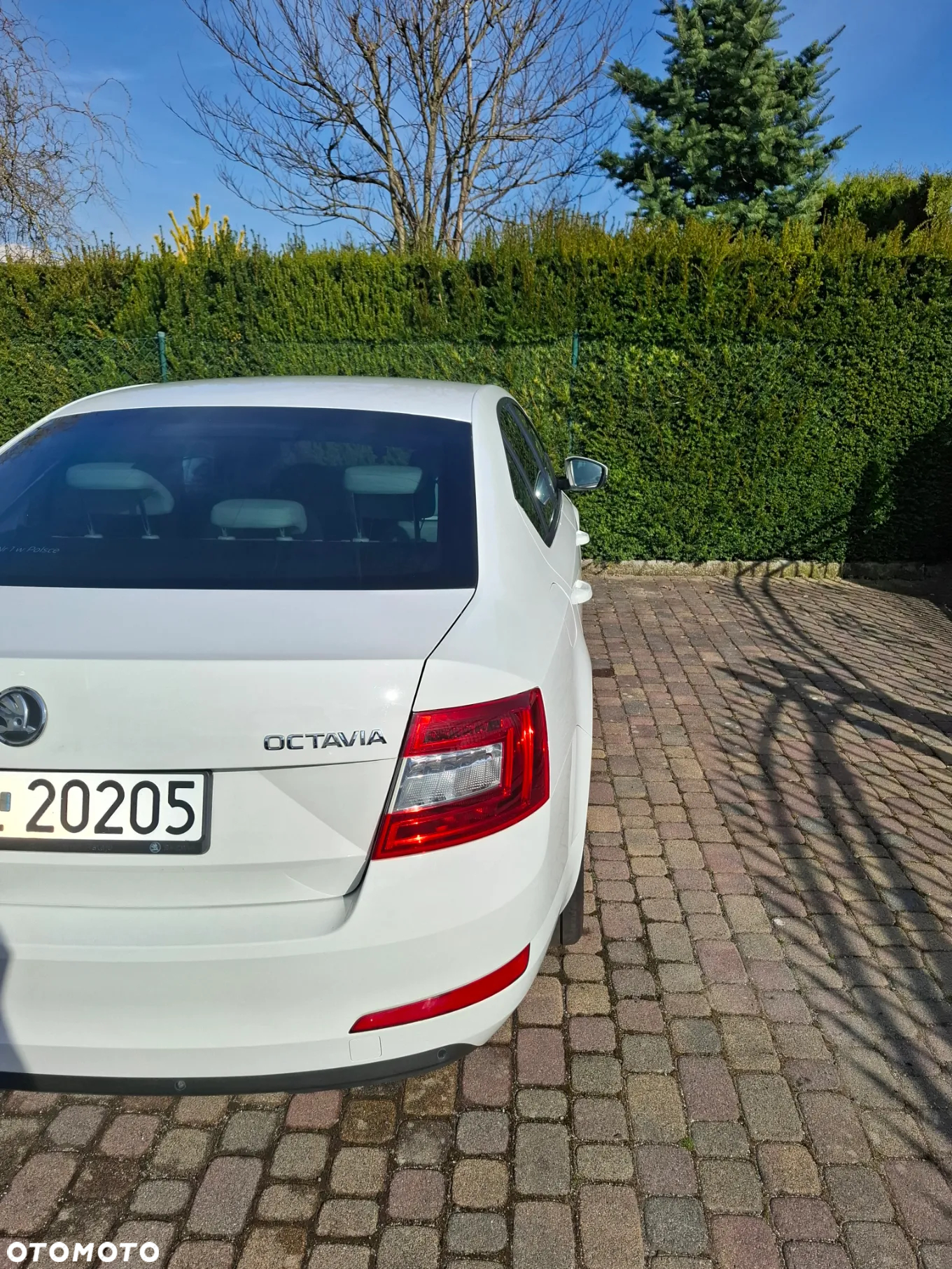 Skoda Octavia 1.2 TSI Elegance - 14