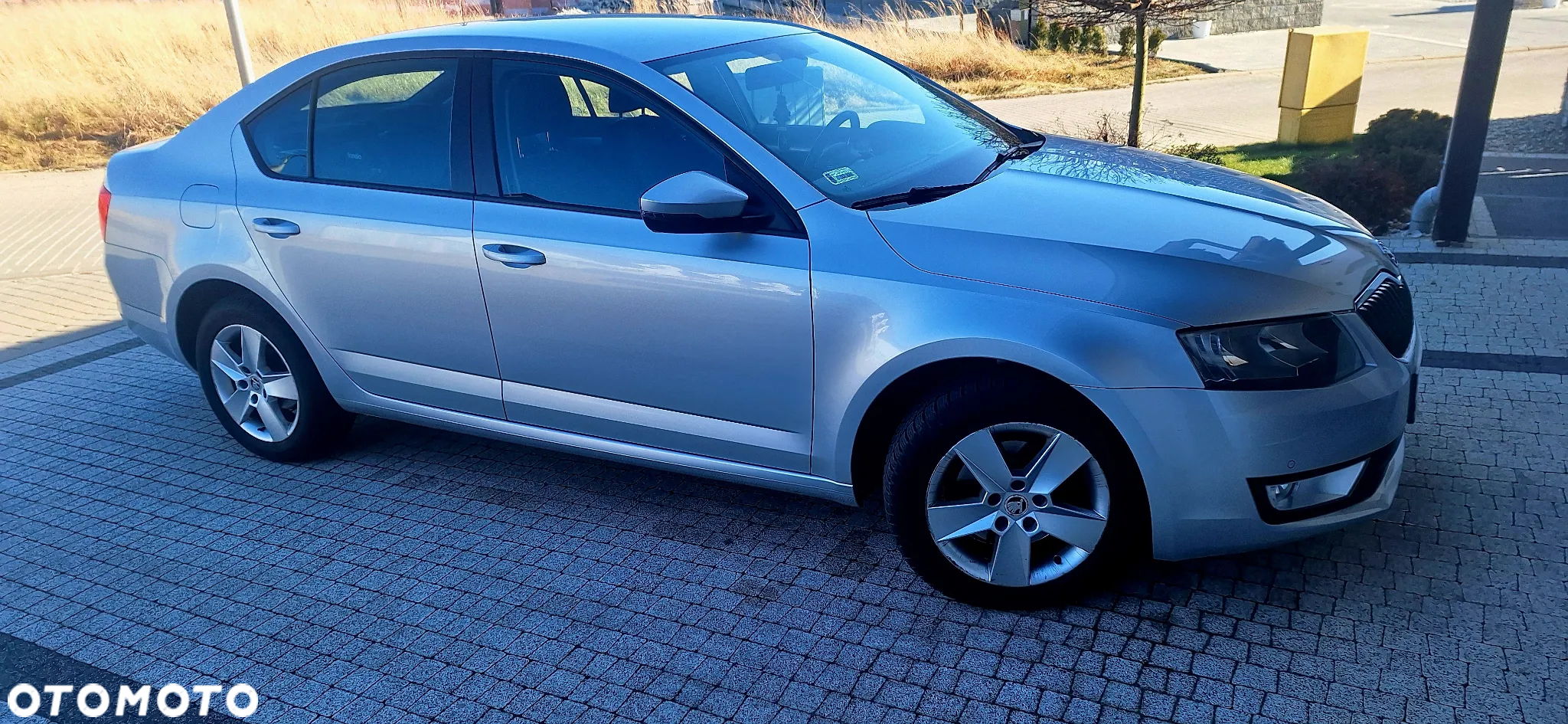 Skoda Octavia - 12