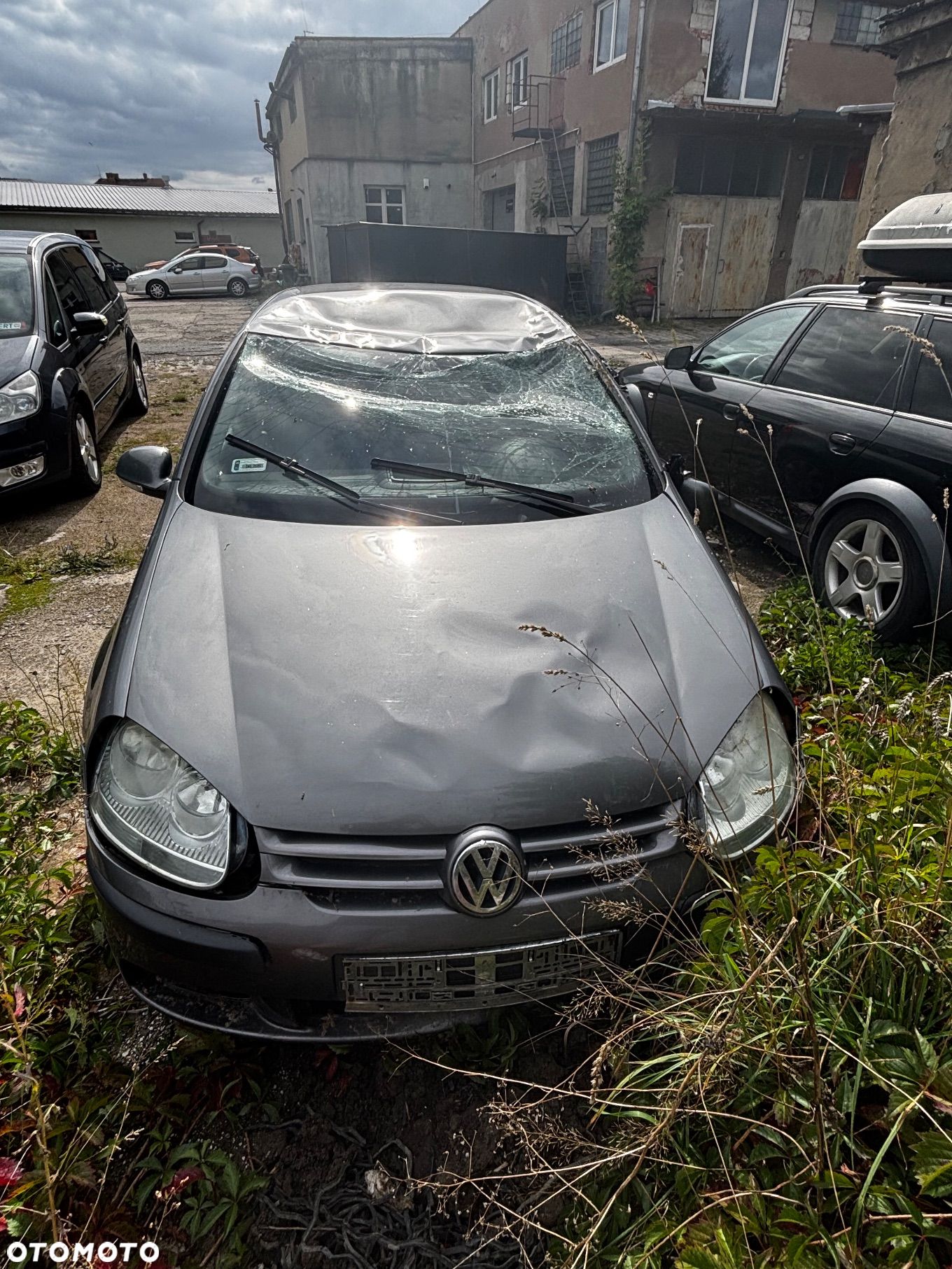 Volkswagen Golf V 1.9 TDI Trendline - 1