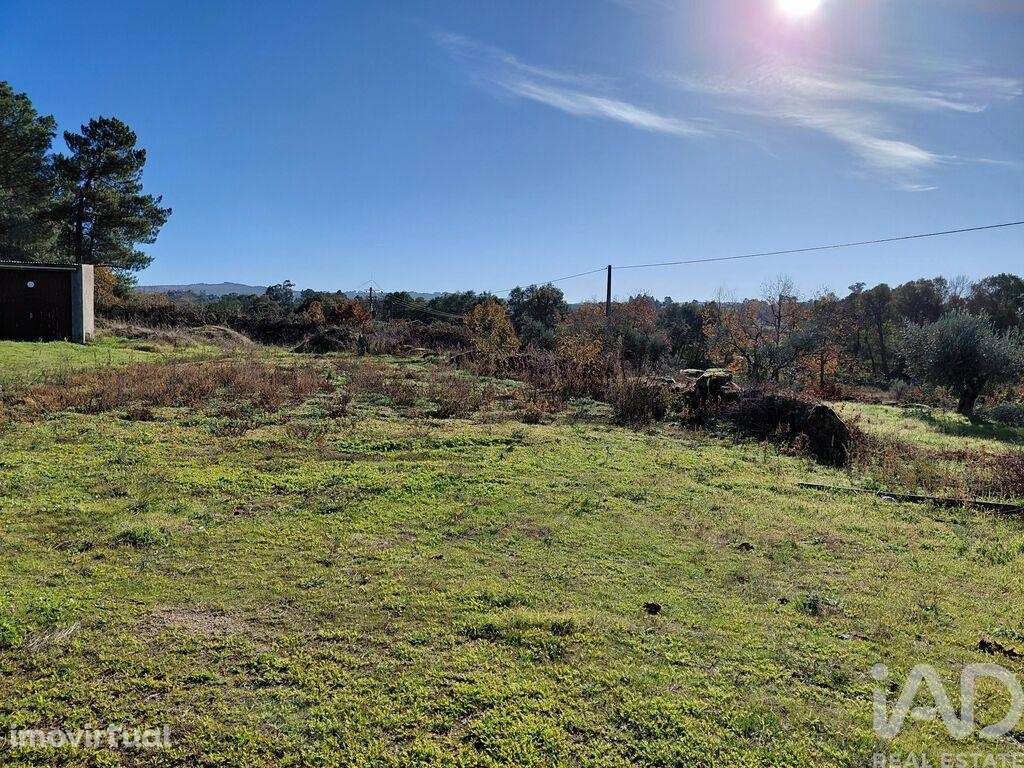 Quinta agricola em Caria de 44720 m2 - Grande imagem: 2/21