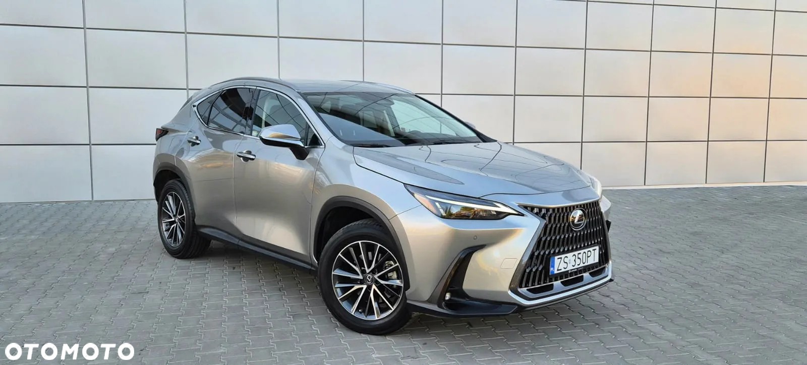Lexus NX - 11