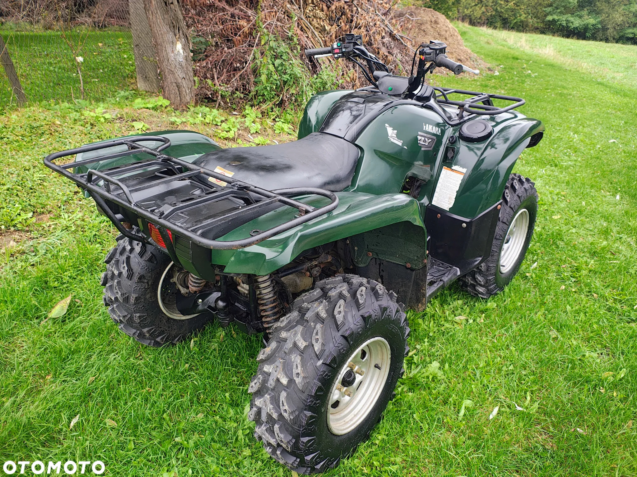 Yamaha Grizzly - 11