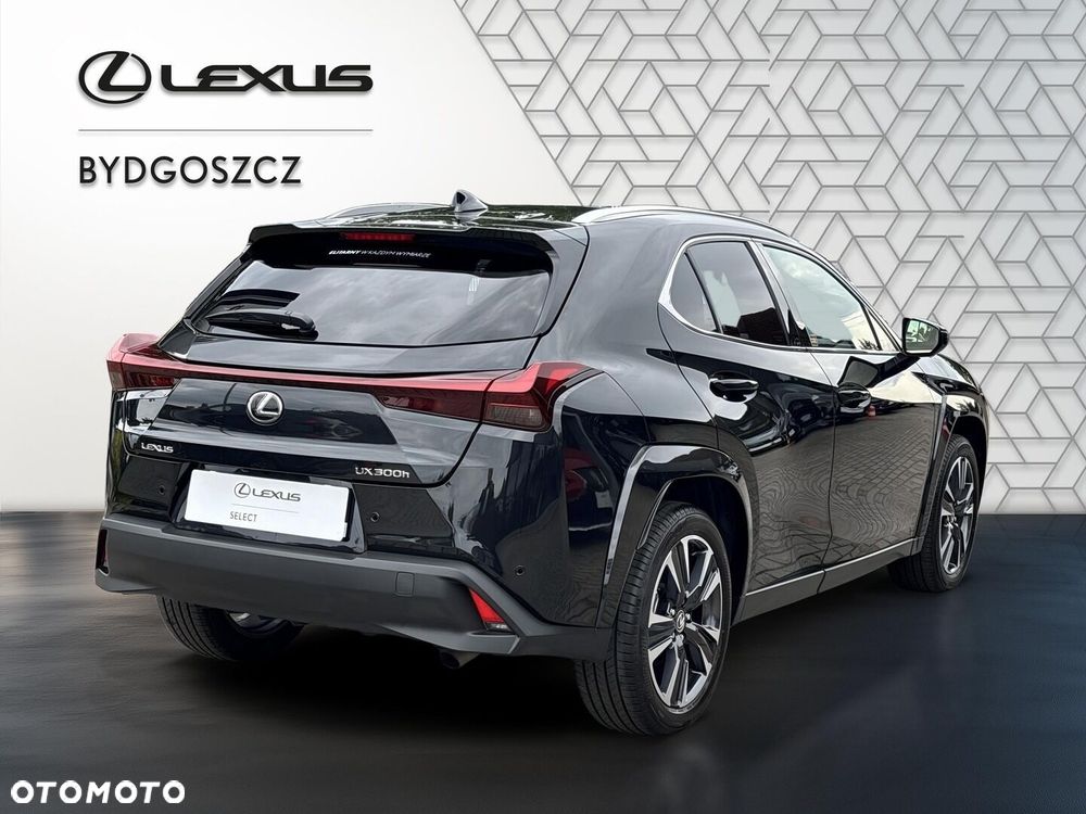 Lexus UX 300h Omotenashi - 6