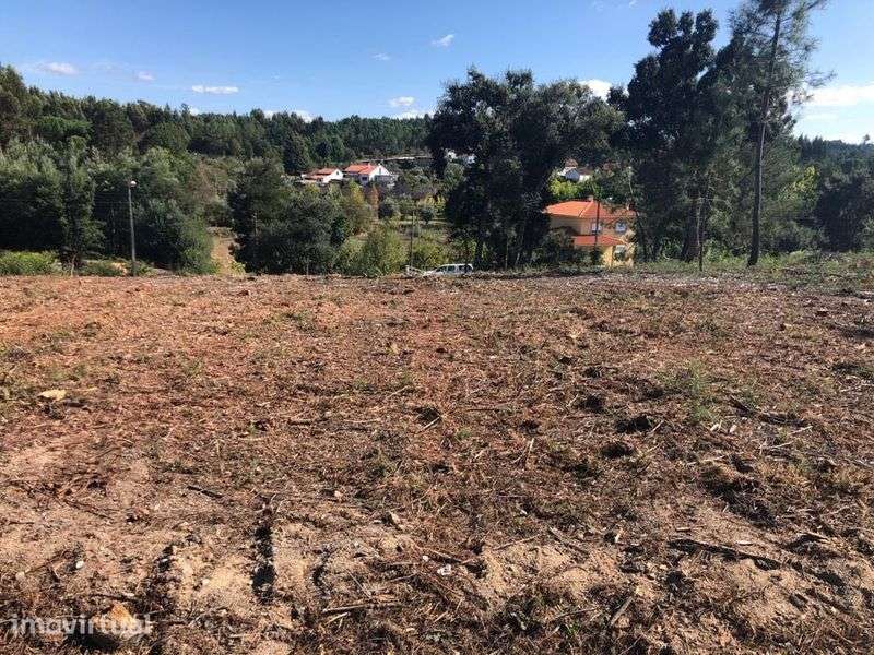 Terreno P/Construção C/1.758m2 - Localizado Tábua - Grande imagem: 2/4