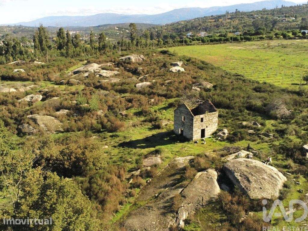 Quinta em Lagos da Beira e Lajeosa
