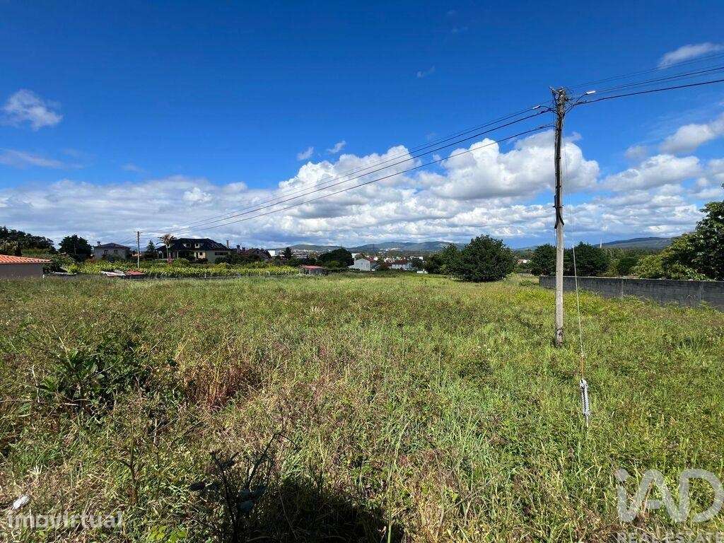 Terreno Agrícola em São Romão de Neiva - Grande imagem: 2/14
