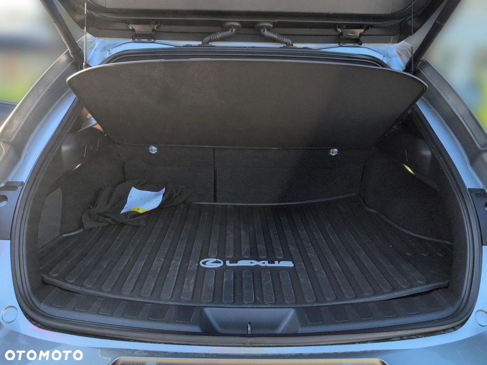 Lexus UX 300h F Sport Design - 13