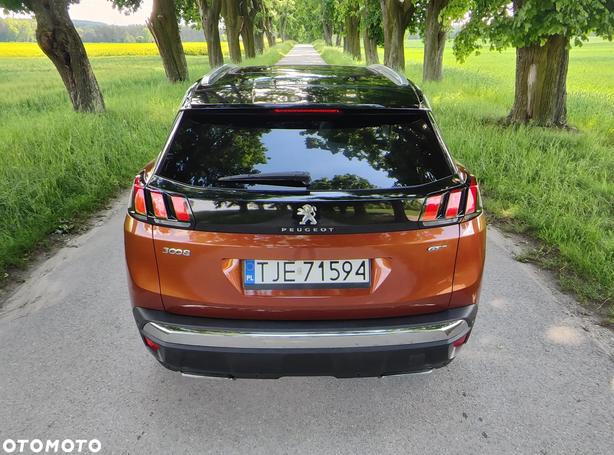 Peugeot 3008 2.0 BlueHDi GT S&S EAT8 - 16