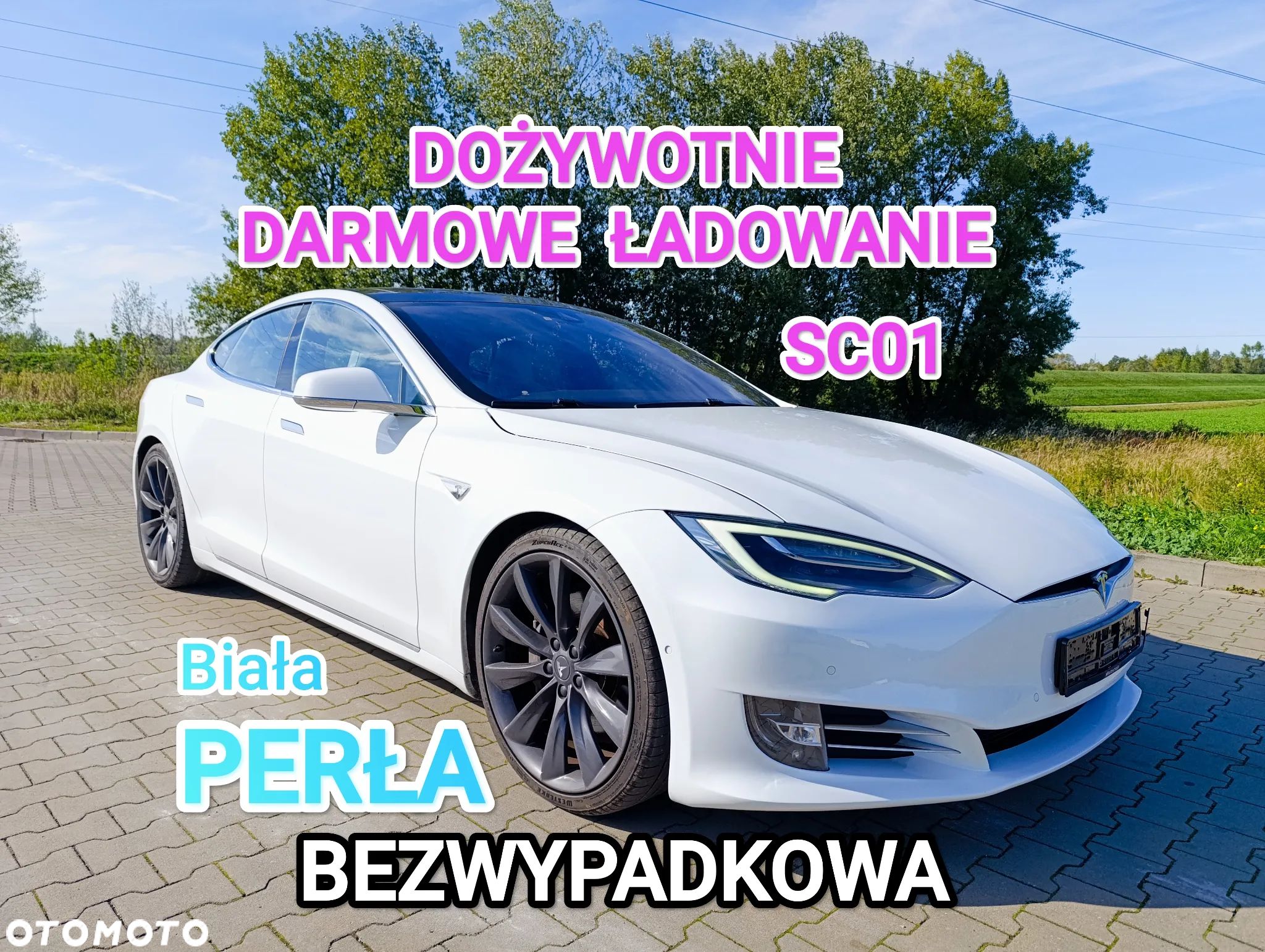 Tesla Model S Long Range Plus - 1