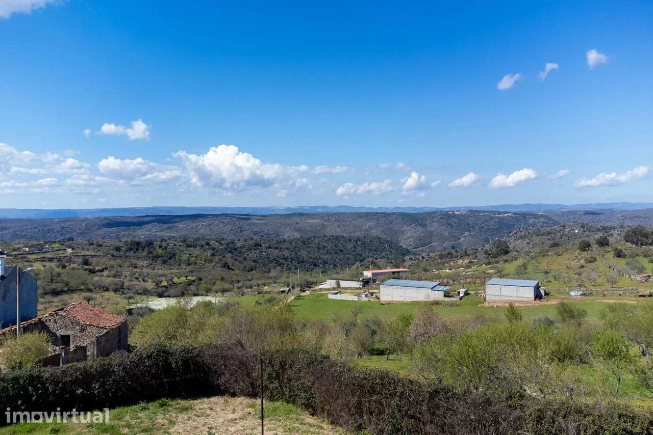 Retiro Rural Licenciado em Portugal com Rendimento Potencial - Grande imagem: 3/60