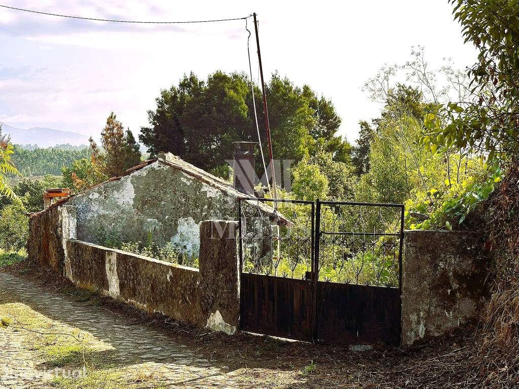 Moradia Térrea para Restauro para venda em Lanheses - Viana do Castelo - Grande imagem: 2/8