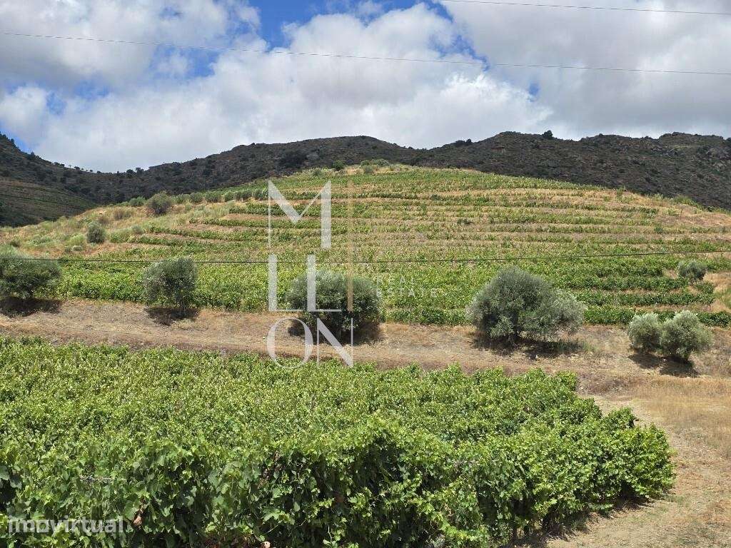 Quinta no coração do Douro Vinhateiro – Uma Oportunidade Única de Inve - Grande imagem: 2/14
