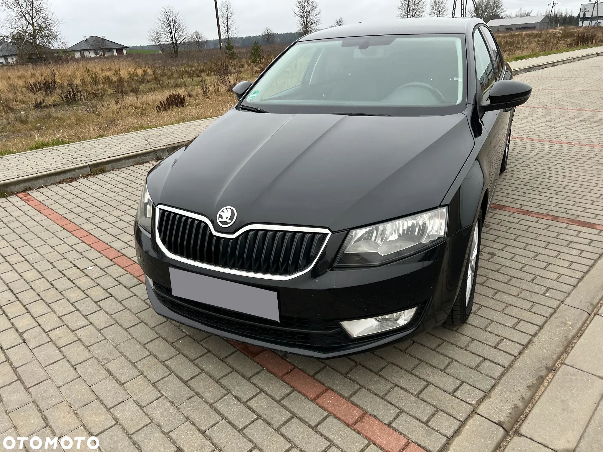 Skoda Octavia 1.6 TDI Family DSG - 1