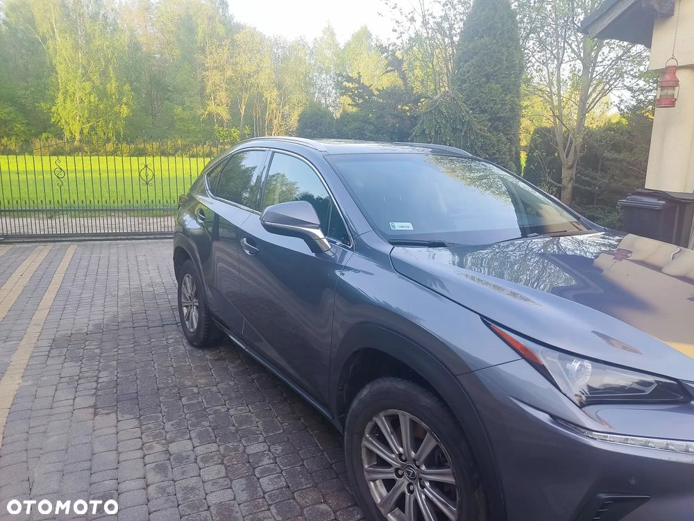 Lexus NX - 3