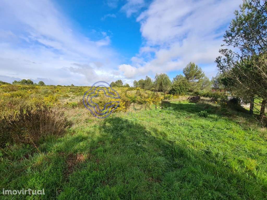 Terreno - 11.560m2 - Perto do Autódromo Estoril - Cascais - Grande imagem: 4/14