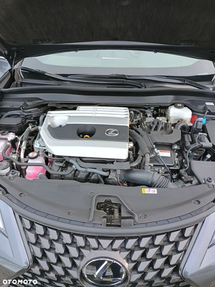 Lexus UX 250h GPF Business Edition 2WD - 27