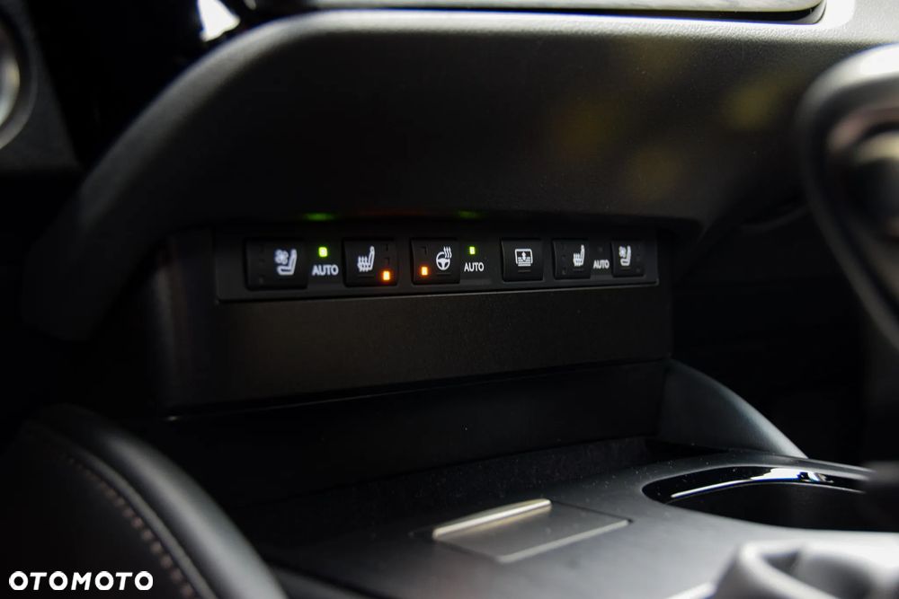 Lexus ES 300h Omotenashi - 16