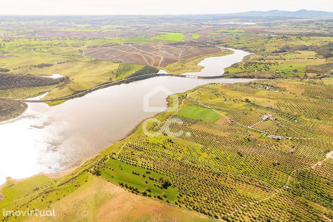 Olival de 5138 m2 | Rosário (Alandroal) - Grande imagem: 4/33