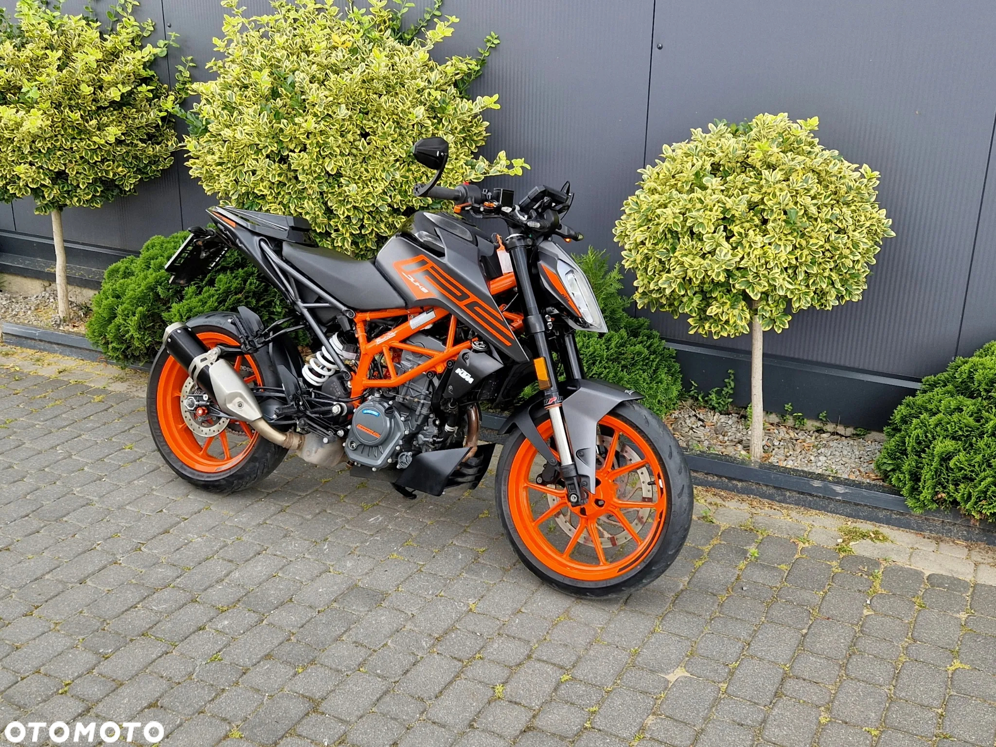 KTM Duke - 2